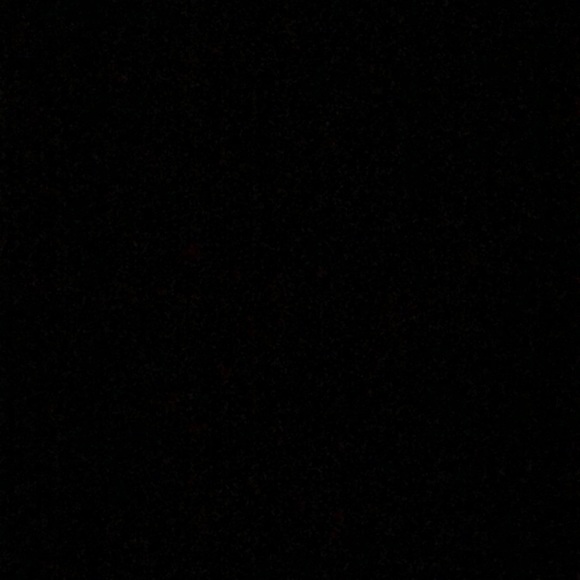 Meet your Posher, Tayler - Picture 1 of 1